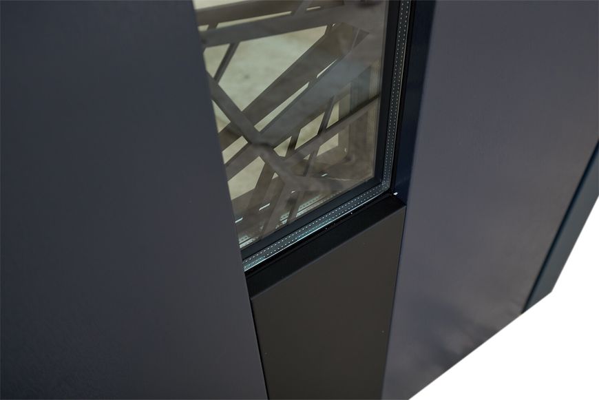 Входные двери с терморазрывом модель Olimpia Glass комплектация Bionica 2 LP3 фото