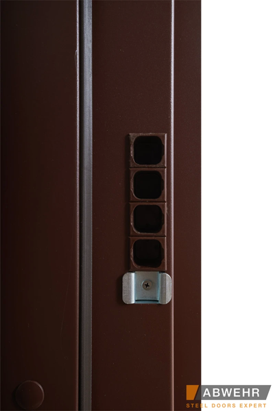 Двери с терморазрывом модель Paradise (Цвет Дуб Темный) комплектация Bionica 2 LP1 фото