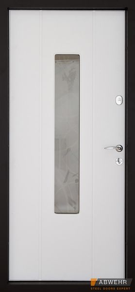 Входные двери модель Solid Glass (цвет Ral 8022T) комплектация Defender 408 фото