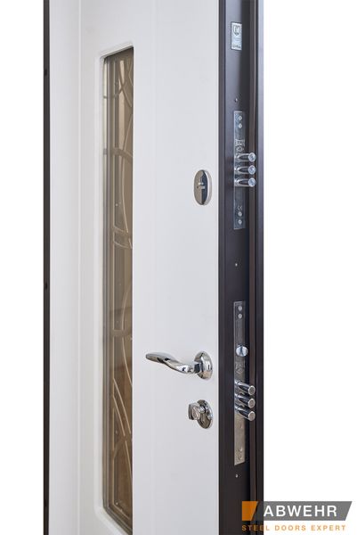 Вхідні двері модель Solid Glass (колір Ral 8022T) комплектація Defender 408 фото