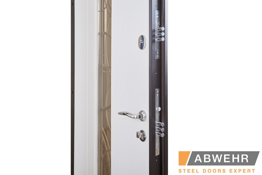 Входные двери модель Solid Glass (цвет Ral 8022T) комплектация Defender 408 фото