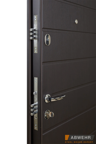 Входные металлические двери модель Solid (цвет Ral 8022T) комплектация Defender abwehr-005 фото