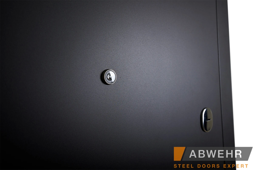 Вхідні металеві двері модель Solid (колір Ral 8022T) комплектація Defender abwehr-005 фото