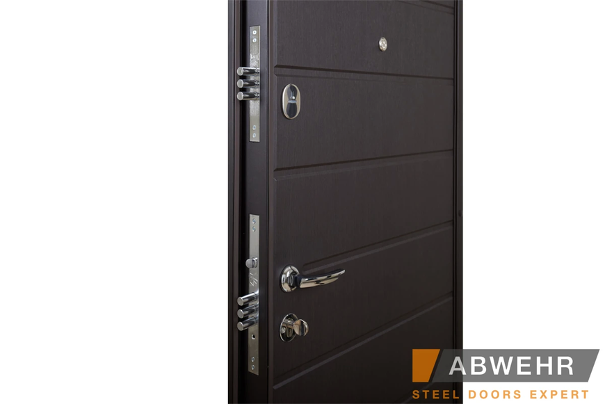Вхідні металеві двері модель Solid (колір Ral 8022T) комплектація Defender abwehr-005 фото